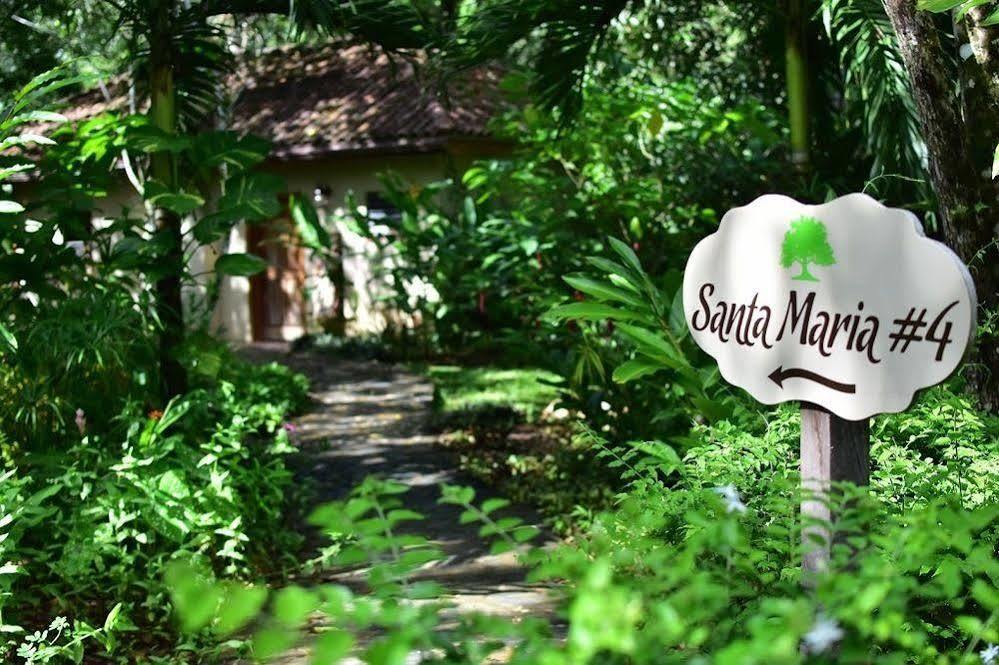 Mystic River Resort San Ignacio Zewnętrze zdjęcie